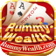 rummy vivo